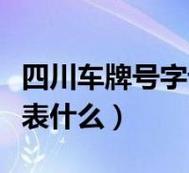 2024电动车牌多少钱可以办理？（车牌指南）