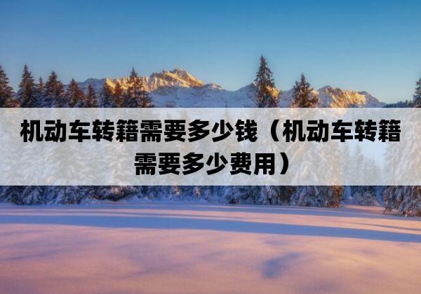 一个新能源指标出租大概多少钱——你都必须知道的几件事